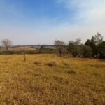 emerson ferreira007 7