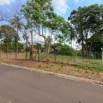 emerson ferreira007 8