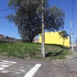 emerson ferreira007 9