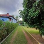 emerson ferreira008 10