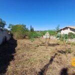 emerson ferreira008 12