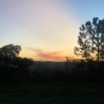 emerson ferreira008 15