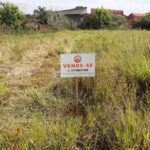 emerson ferreira008 20