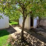 emerson ferreira008 5