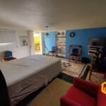 emerson ferreira009 1