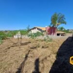 emerson ferreira009 12