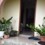 emerson ferreira009 16