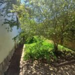 emerson ferreira009 4