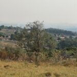 emerson ferreira009 6