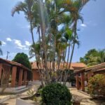 emerson ferreira010 12