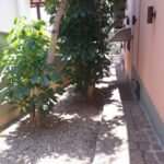 emerson ferreira010 14