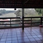 emerson ferreira010 16