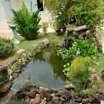 emerson ferreira010 20