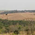 emerson ferreira010 6