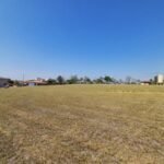 emerson ferreira010 7