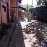 emerson ferreira011 14