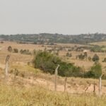 emerson ferreira011 6