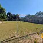 emerson ferreira011 8