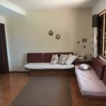 emerson ferreira011 8