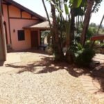 emerson ferreira012 13