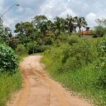 emerson ferreira012 3