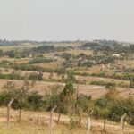 emerson ferreira012 6