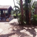 emerson ferreira013 11