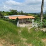 emerson ferreira013 3