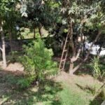 emerson ferreira014 15