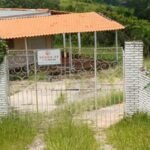 emerson ferreira014 2