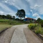 emerson ferreira015 14