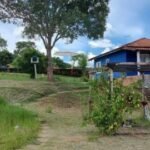 emerson ferreira016 14