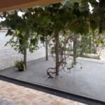 emerson ferreira016 14