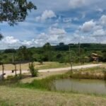 emerson ferreira017 12