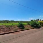 emerson ferreira018 1