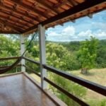 emerson ferreira019 12