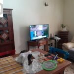 emerson ferreira019 13