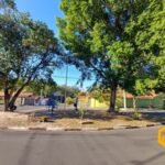 emerson ferreira019 6