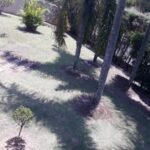 emerson ferreira019 7