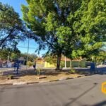 emerson ferreira020 6