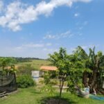 emerson ferreira021 4