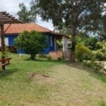 emerson ferreira022 11