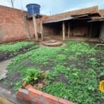 emerson ferreira023 1