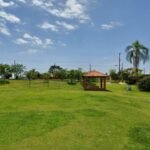 emerson ferreira023 4