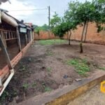 emerson ferreira024 1