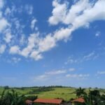 emerson ferreira024 3