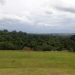 emerson ferreira024 4