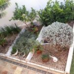 emerson ferreira024 8