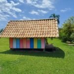 emerson ferreira025 4