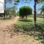 emerson ferreira026 8